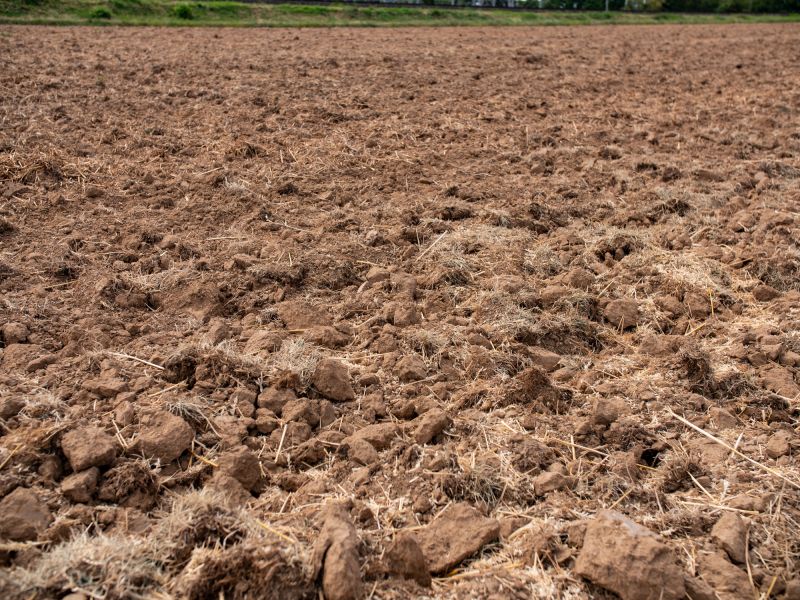 Finished Tilled Soil