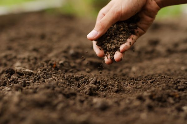 Ground Cultivation